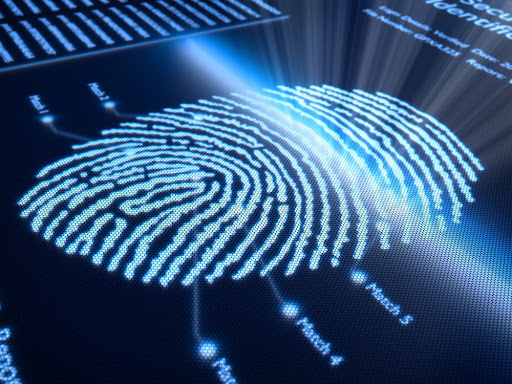 Mount Dora Live Scan Fingerprinting: What To Expect From Your Appointment